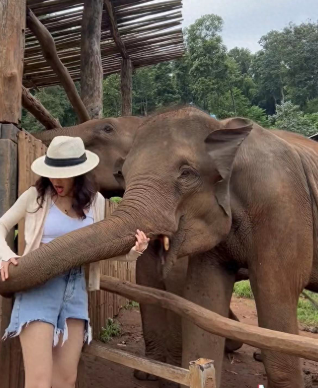 国家一级演员晒定居泰国生活！和大象拥抱，49岁穿着热辣妖娆美艳