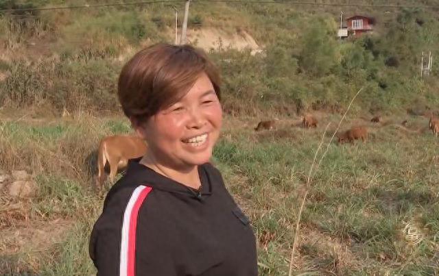 农村妇女彭美竹，养牛10年坐拥1200万资产，带领乡民发家致富