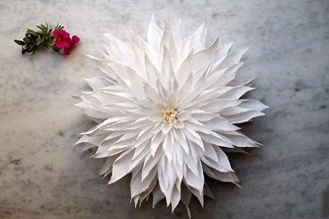 美女艺术家用纸叠出巨型鲜花，每朵都能闻到花香