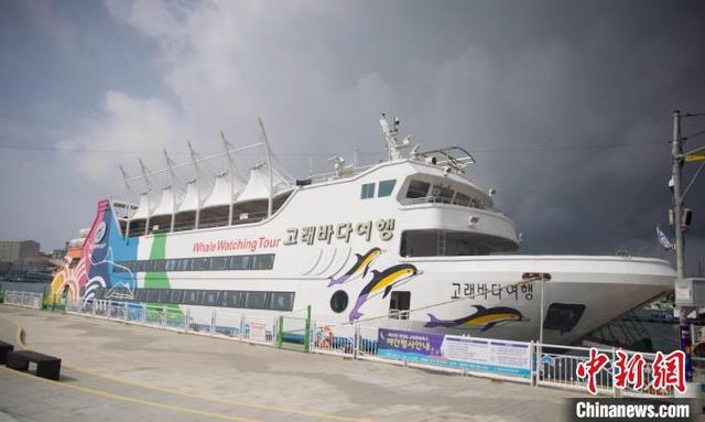 韩国蔚山着力打造特色鲸鱼旅游线路