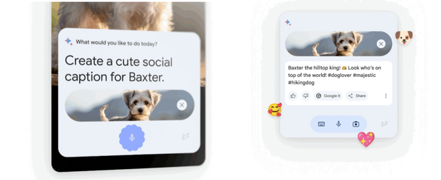 Google 新手机发布会：Android 14，「买手机，送 AI」