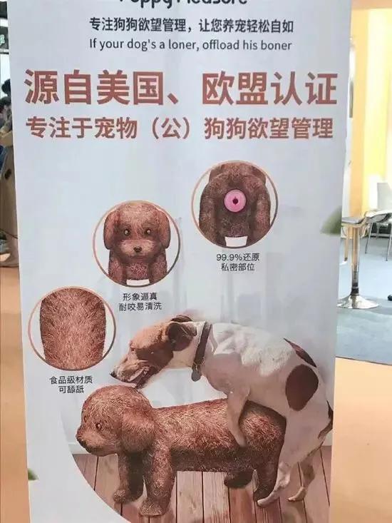 分享网友有趣瞬间:按摩椅竟然把我的内衣带解开了……