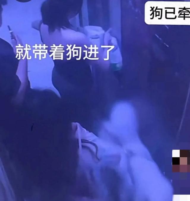 闹大了!漂亮女子被扒衣露胸后续:被判为互殴,吞药自杀遗书曝光