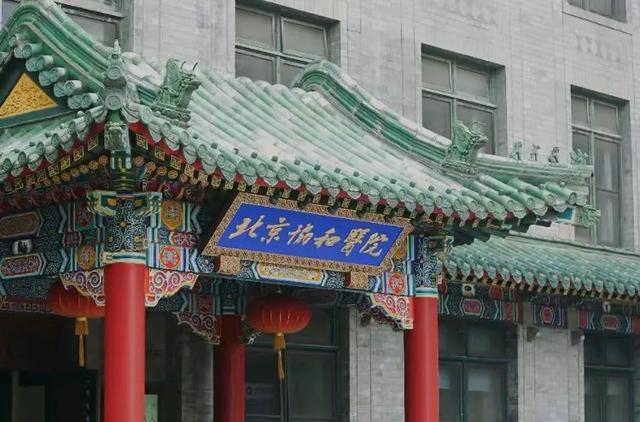 23岁美女协和博士毕业,很多人难以置信,看到国外本科就明白了