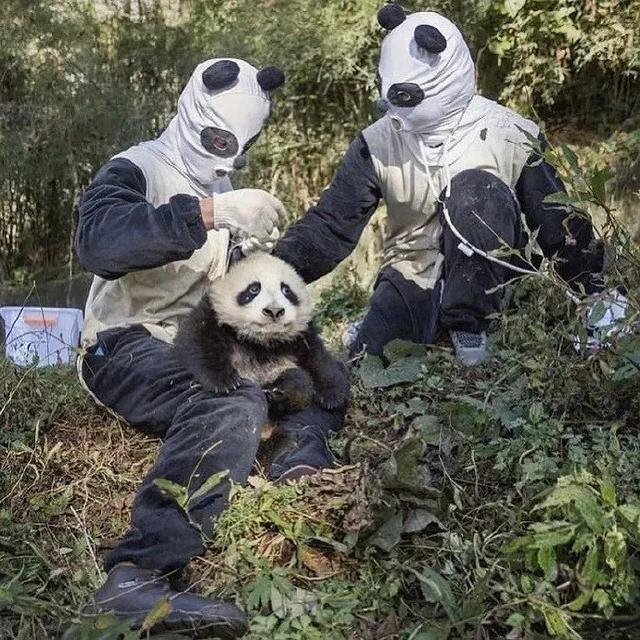 分享网友有趣瞬间:按摩椅竟然把我的内衣带解开了……