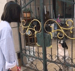 令人捧腹的笑话:女神答应和我去KTV,一进门她就只点黄家驹的歌