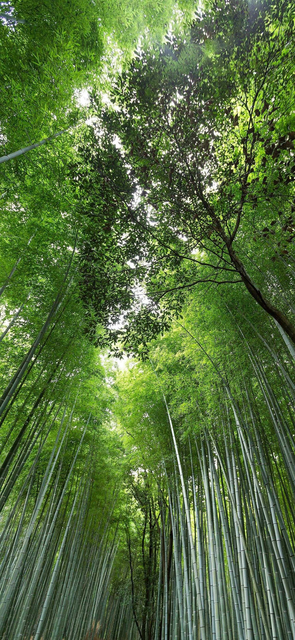 手机高清壁纸无水印[58P]